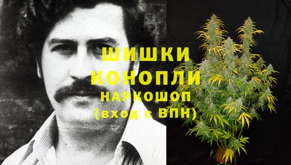 шишки Баксан