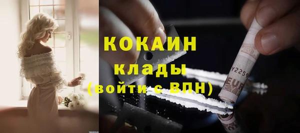 шишки Баксан
