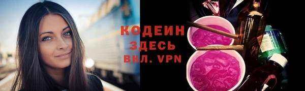 шишки Баксан