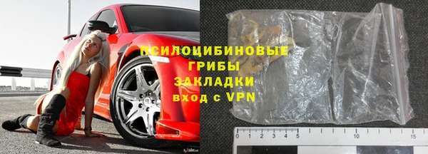 шишки Баксан