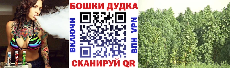 МЕГА наркошоп Кяхта Бошки Шишки индика